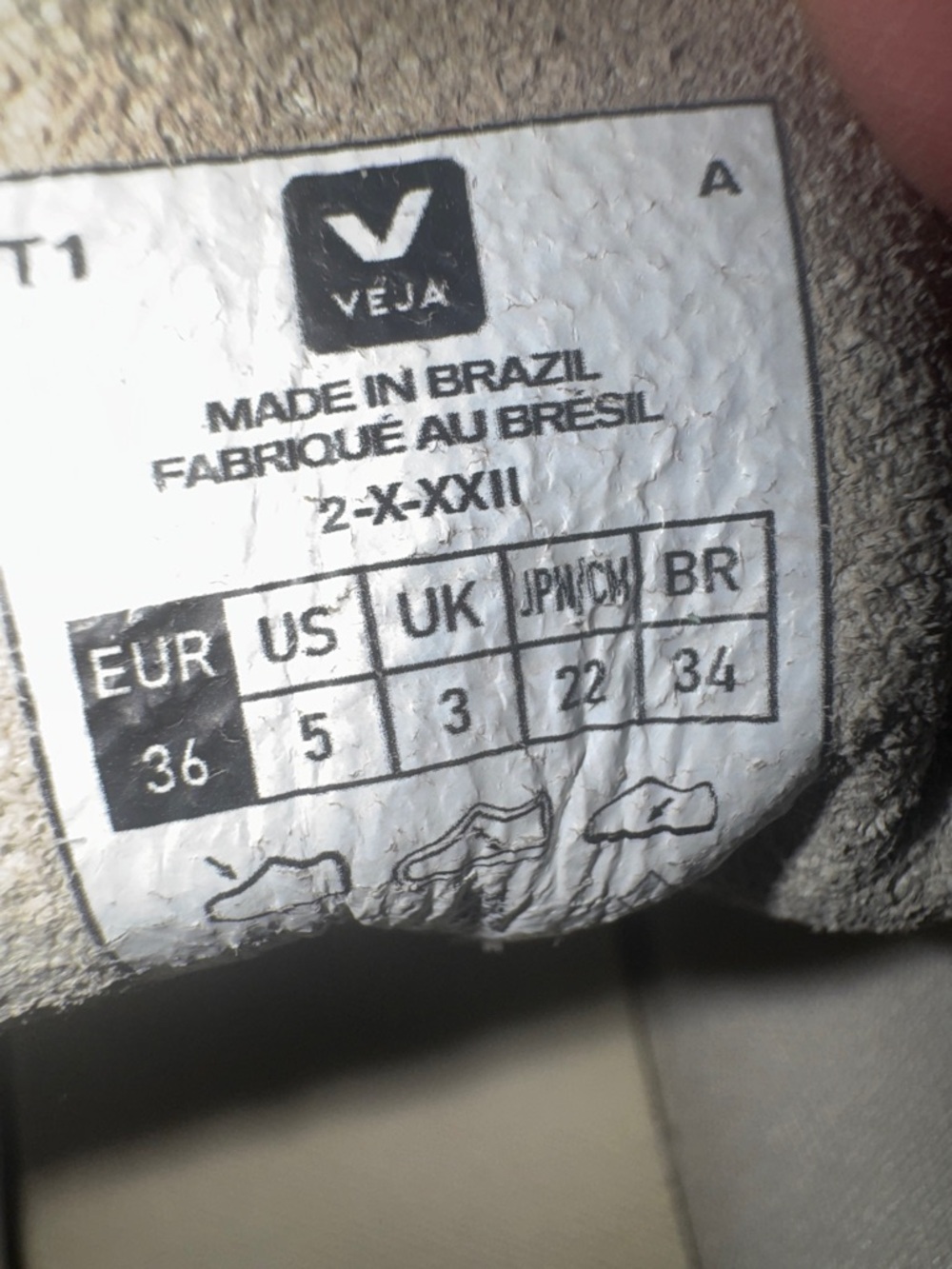 Veja Off-White and Light Gray Low-Top Sneakers - Picture 9 of 10
